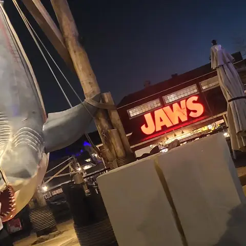ユニバーサルスタジオジャパン.夜景