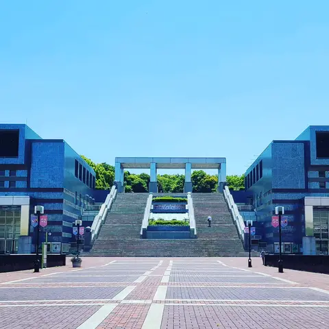 2023年5月16日 快晴の下で昼寝