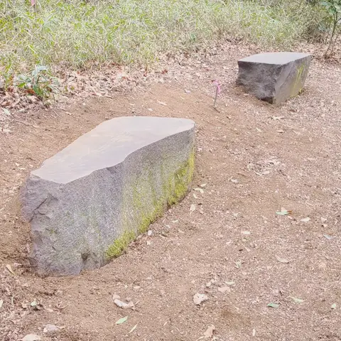 #大学散策