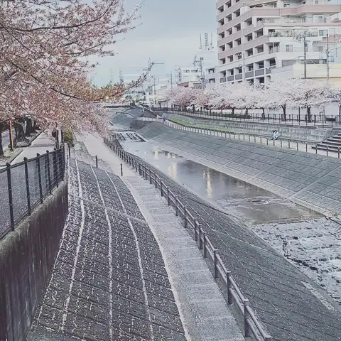 2023年4月2日 京王永山