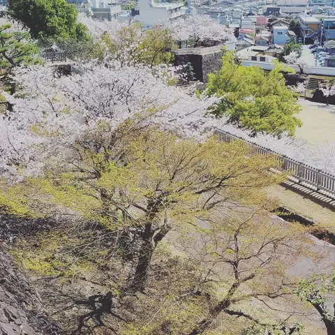 2023年3月28日 甲府城