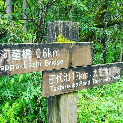 #上高地