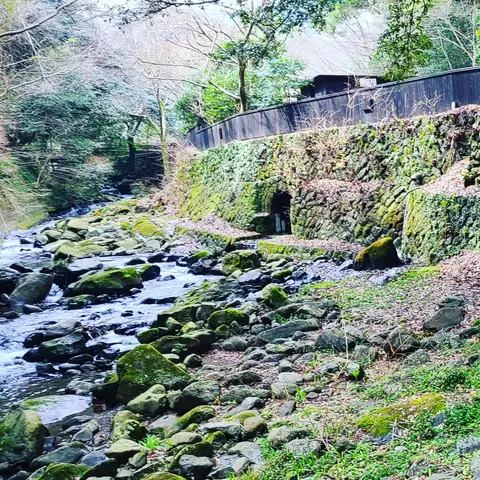 2023年3月10日 惣湯テラス周辺