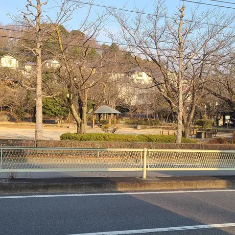唐木田散歩
