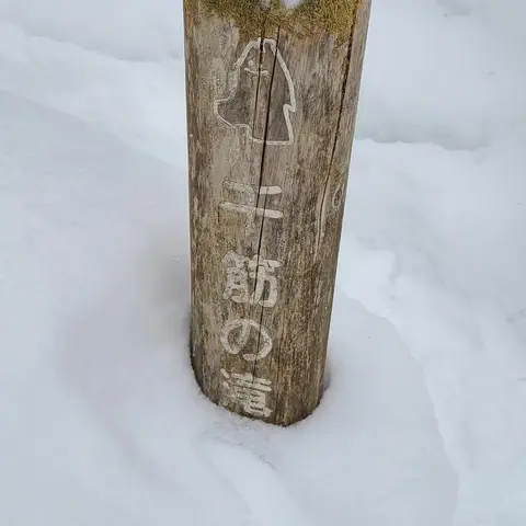 奥入瀬渓流（千筋の滝）
