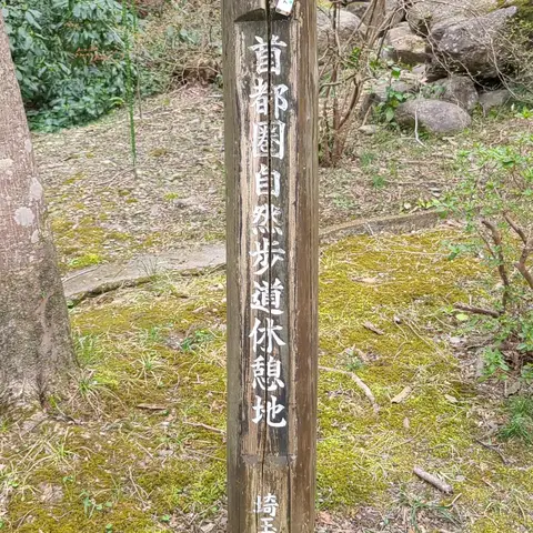 寶登山神社（散策）