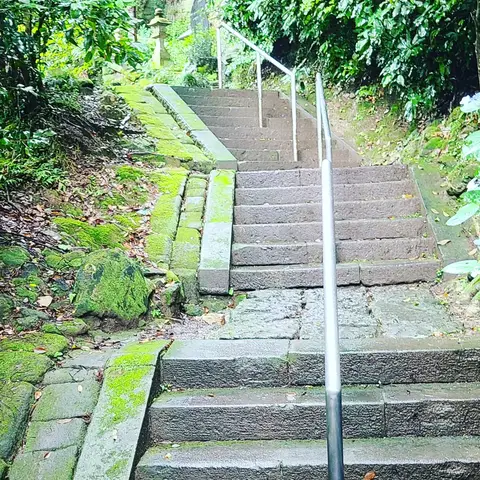 #あじさい巡り  #紫陽花旅
