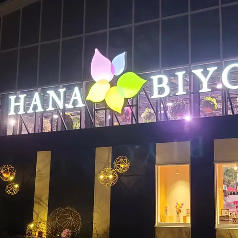 イルミネーション in HANA・BIYORI