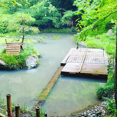 #あじさい巡り  #紫陽花旅