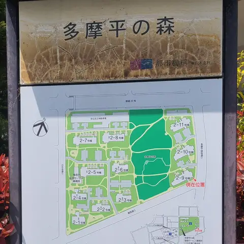 多摩平の森