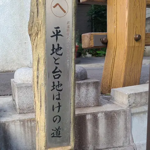 2023年3月22日 かなしい坂周辺