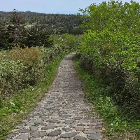 物語が始まりそうな遊歩道 大深沢展望台