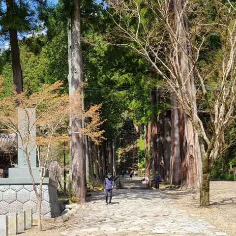 2023年3月29日 身延山ロープウェイ