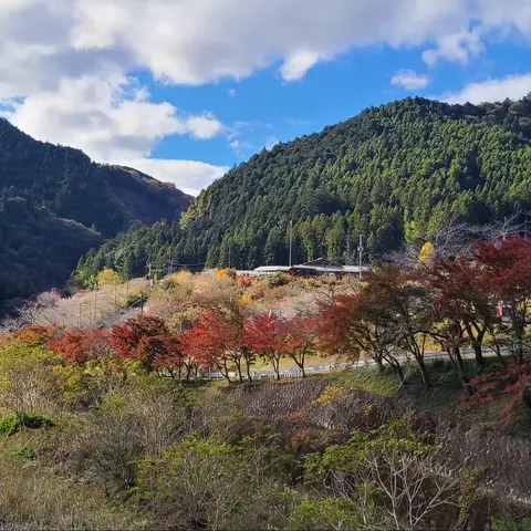 名栗湖: 関東ふれあいの道
