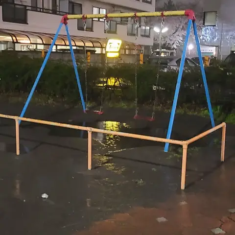 特別なブランコ