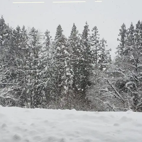 2021年の雪景色