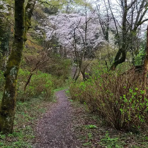 猿橋公園