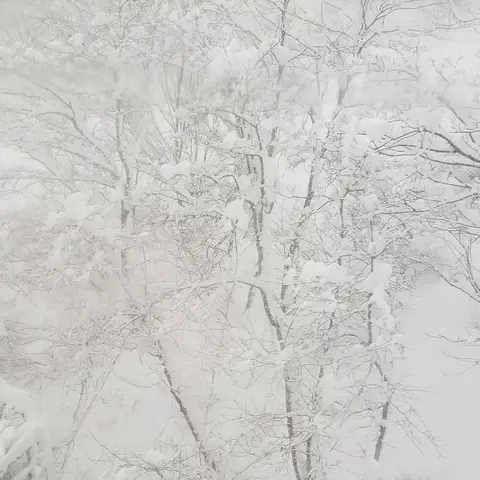 年末と年始