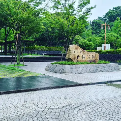 #あじさい巡り  #紫陽花旅