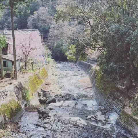 2023年3月29日 身延山から身延駅（身延高校、身延山病院）
