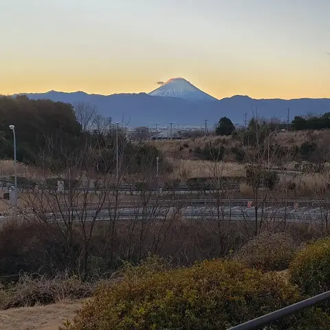 2021年元旦