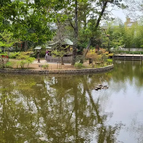 2023年4月5日 大宮公園