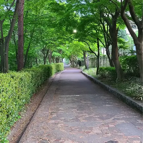 2023年4月19日 緑の道