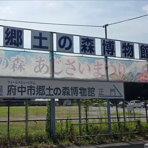 府中の森 あじさいまつり