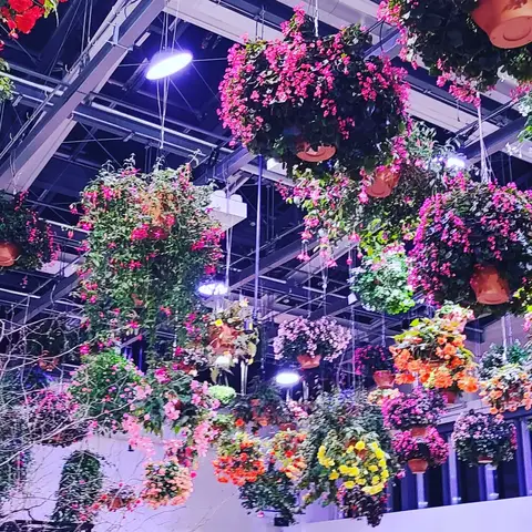 2023年2月11日 花の展示