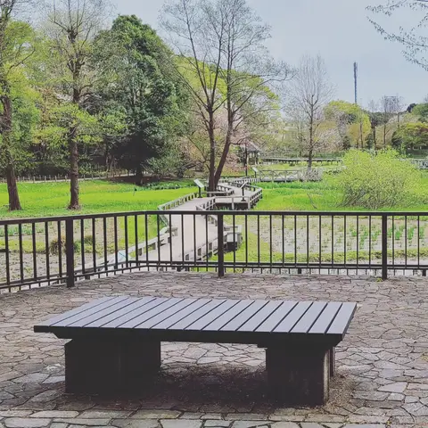 2023年3月31日 神代植物公園