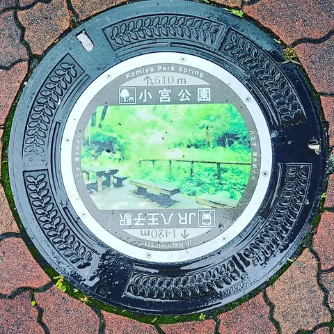 2023年5月20日 早朝 雨の小宮公園