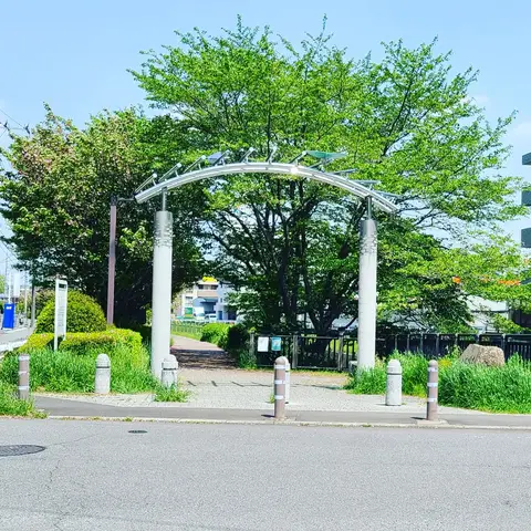 思わず撮りたくなる