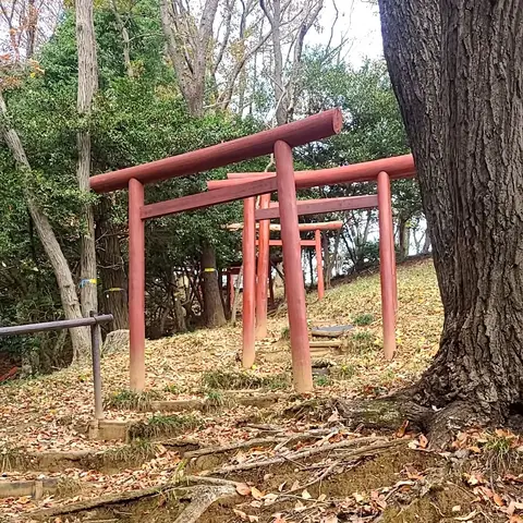 2022年12月 中央大学で見つけた原神の稲妻