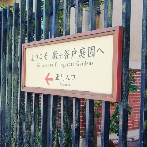 #東京観光