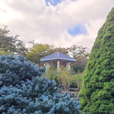 強羅公園（園内散策）