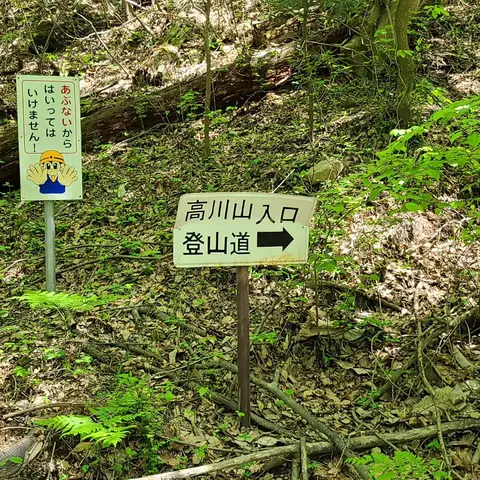 高川山:登頂