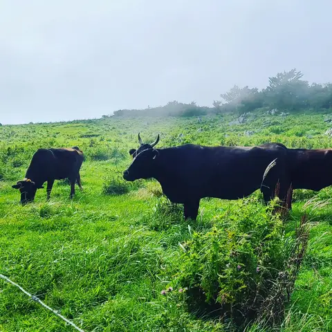 #四国旅