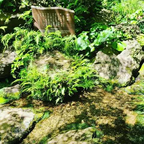 #東京観光