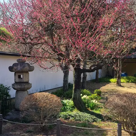 管刈街かど公園（渋谷区散策）