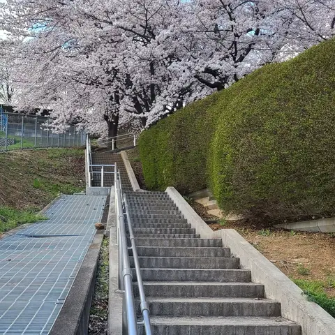 2023年3月28日 笛吹川フルーツ公園