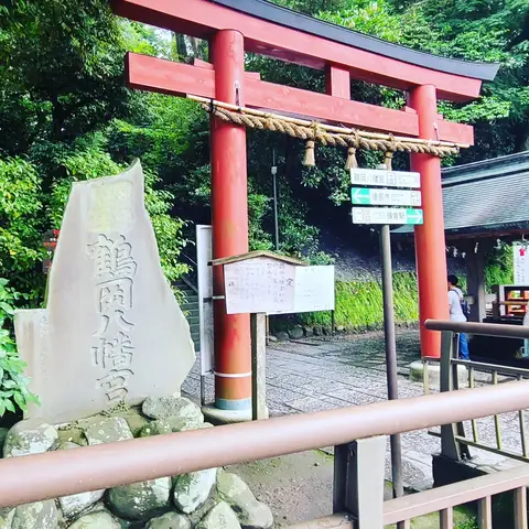 #あじさい巡り  #紫陽花旅