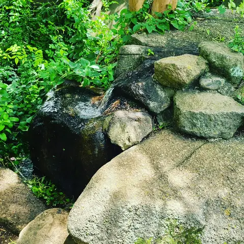2023年6月5日 京成バラ園 Part3
