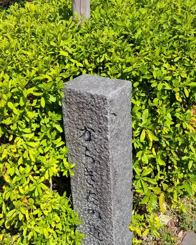ぽっとでてきた案内