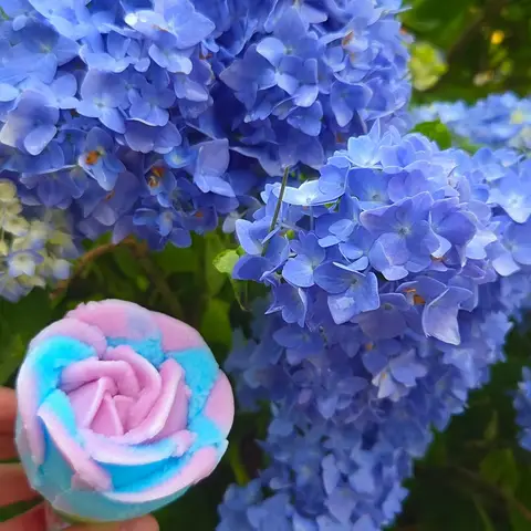 雲昌寺 限定あじさいブルー ババヘラアイス
