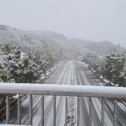 雪景色 in Tokyo