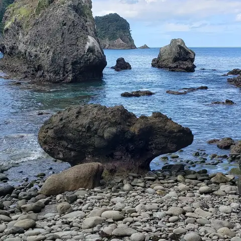 伊豆の浜辺