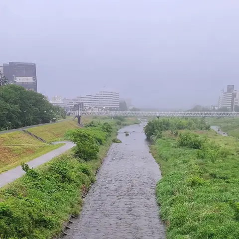 2023年5月20日 土砂降り（散策）