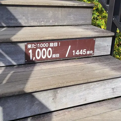 霧降高原カウントダウン（1000~1445）