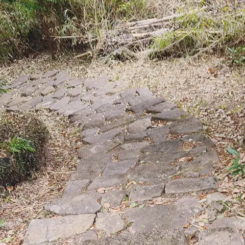 #大学散策  #八幡神社