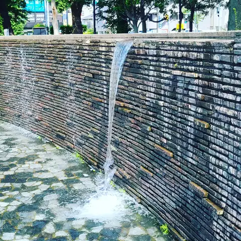 2023年6月5日 天沼弁天池公園 Part2